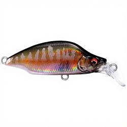 Poisson nageur MEGABASS Great hunting Bat a fry 52 LZ Autumn hatalion