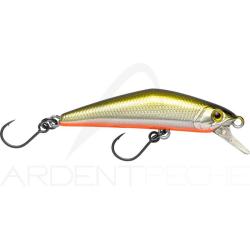 Poisson nageur SMITH D Compact FES 45 05