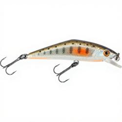 Poisson nageur SMITH D Contact 50 FES 33