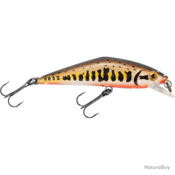 Poisson nageur SMITH D Contact 50 FES V2