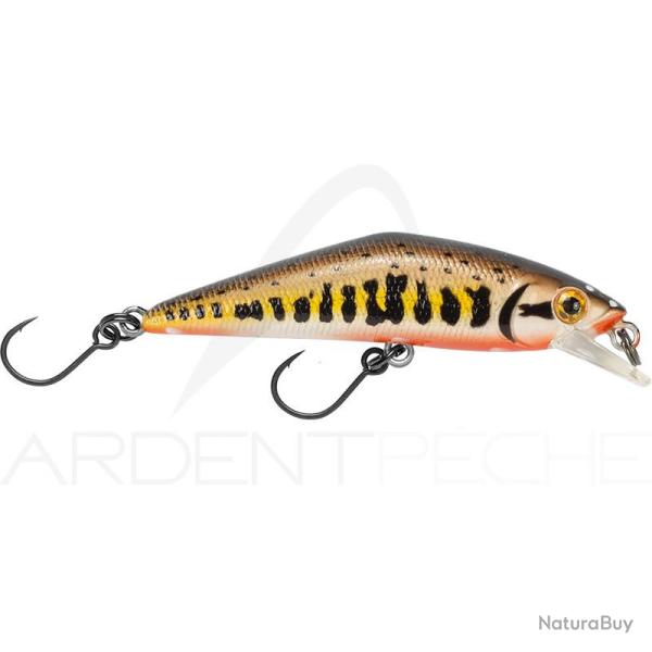 Poisson nageur SMITH D Contact 63 FES V2