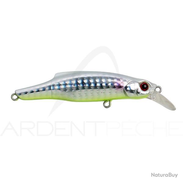 Poisson nageur JACKSON Pin tail 20 LVI