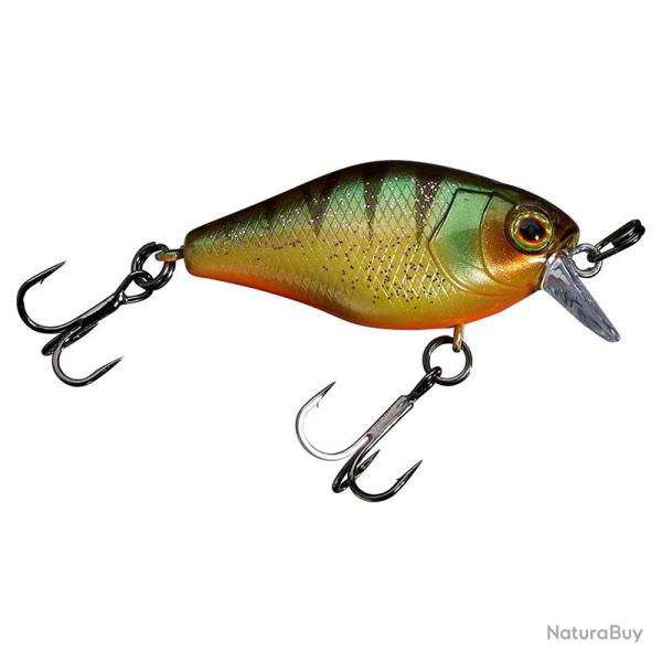 Poisson nageur ILLEX Chubby 41 Aggressive perch