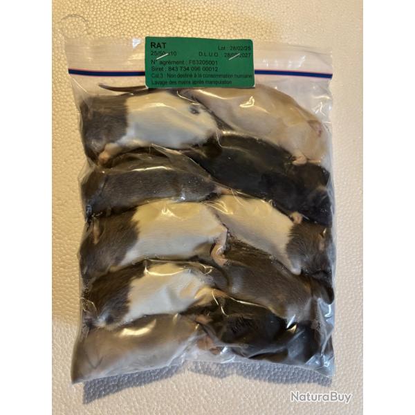 Rats congel�s 25/50