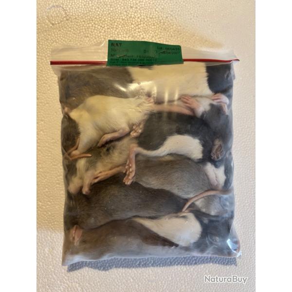 Rats 50/90g X 10
