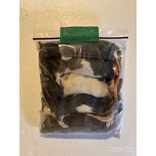 Rats 90/150g X 5