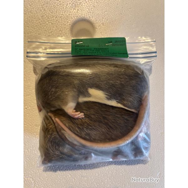 Rats 200/250g X 2