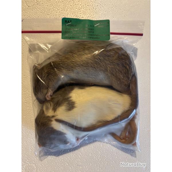 Rats 250/350g X 2