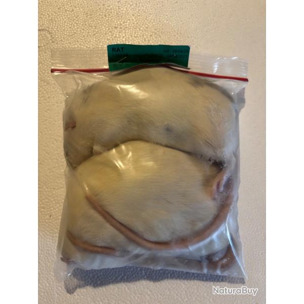 Rats +350g X 2