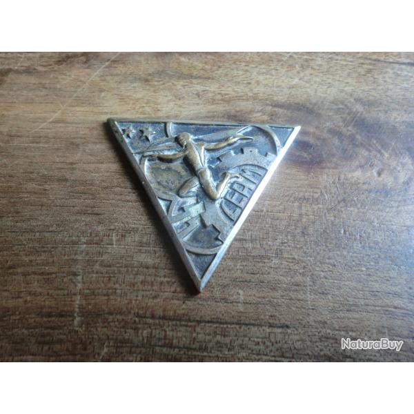 insigne centre d exprimentation ariennes militaire  / drago paris