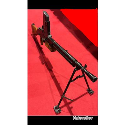 fusil-mitrailleur-24-29-neutralis-e-mitrailleuses-neutralis-es-13441962