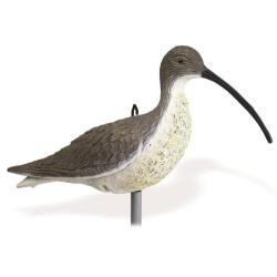 Appelant courlis cendr&eacute; Stepland - Par 1