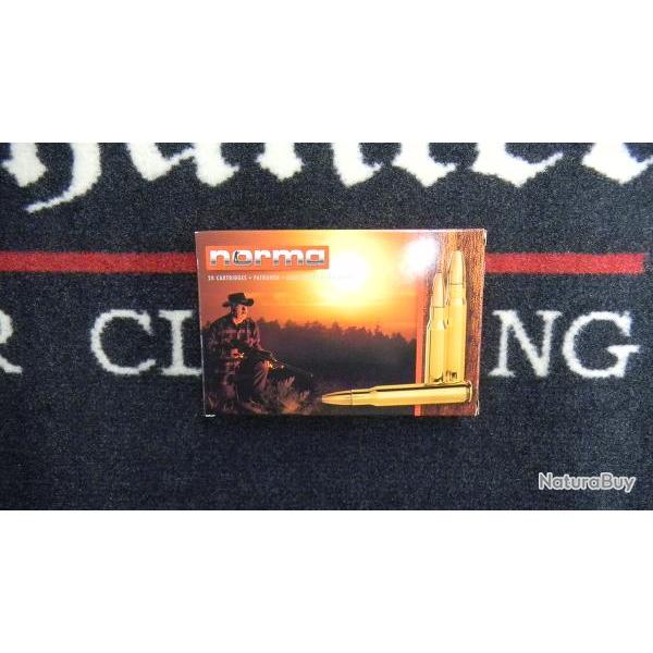 Norma Alaska 9,3x62 285 grs