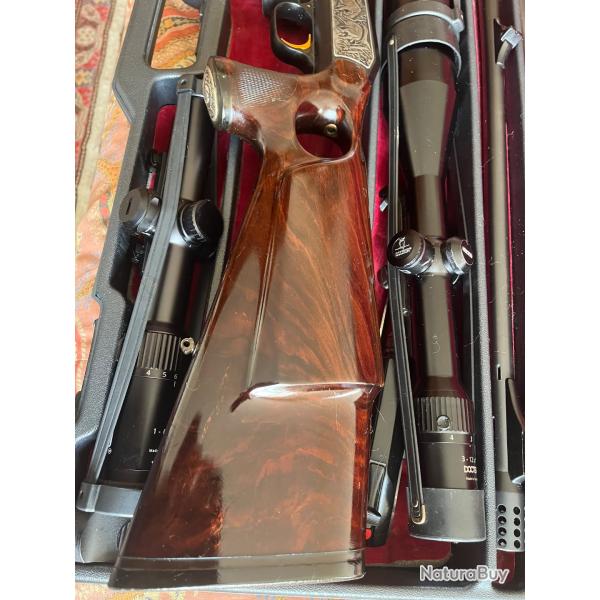 Carcasse R93 Africaine trou de pouce Koudous / Buffles et Lion