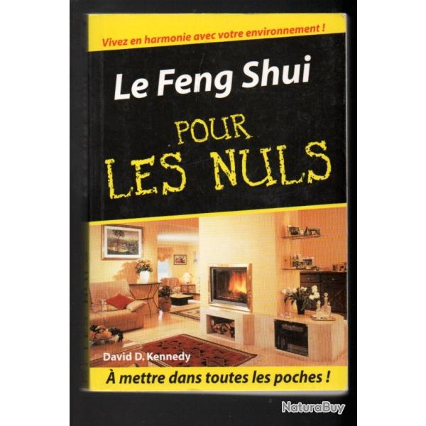 le feng shui pour les nuls de david d.kennedy