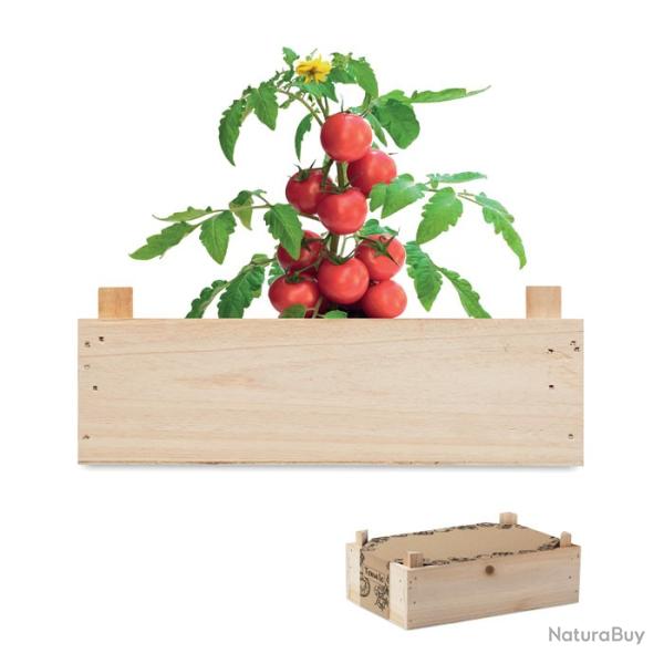 kit de plantation tomate cerise
