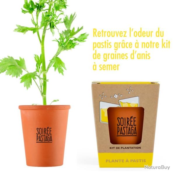 kit de plantation graine de pastis