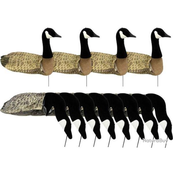 Pack 12 blettes d'oies Sillosocks Canada Goose Harvester