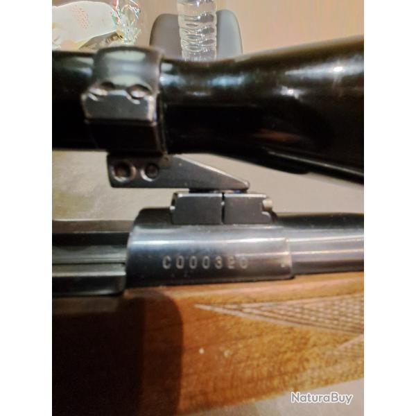 Vends carabine RWS MODEL 89,avec jumelle ZF 6x42 M.