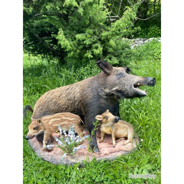 L'aie avec marcassin