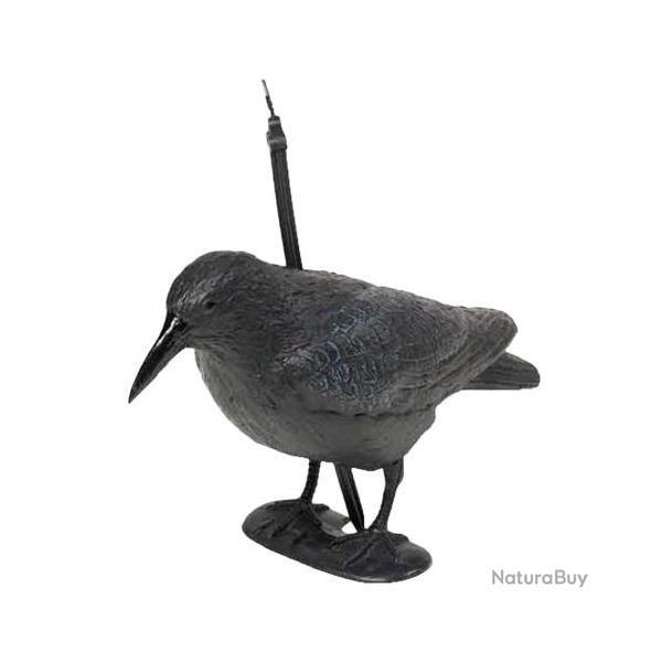 Appelant Corneille peinte 38 cm FRITZMANN