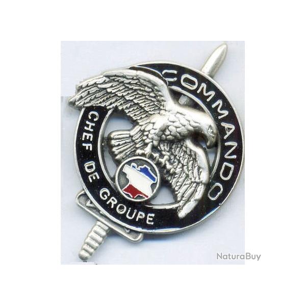Brevet COMMANDO CHEF DE GROUPE
