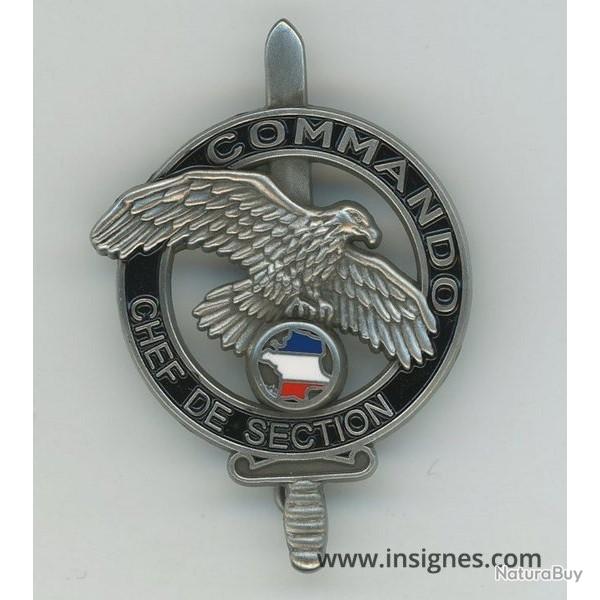 brevet  Chef de Section Commando