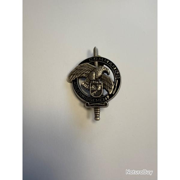 brevet  COMMANDO AGUERISEMENT