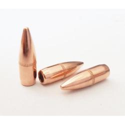 100 Ogives Partizan .224 55Grs FMJ