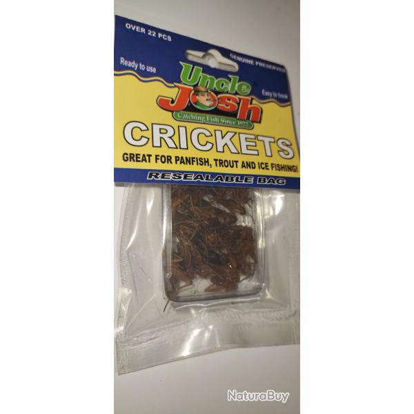 LEURRE CRICKETS x22 - NEUF