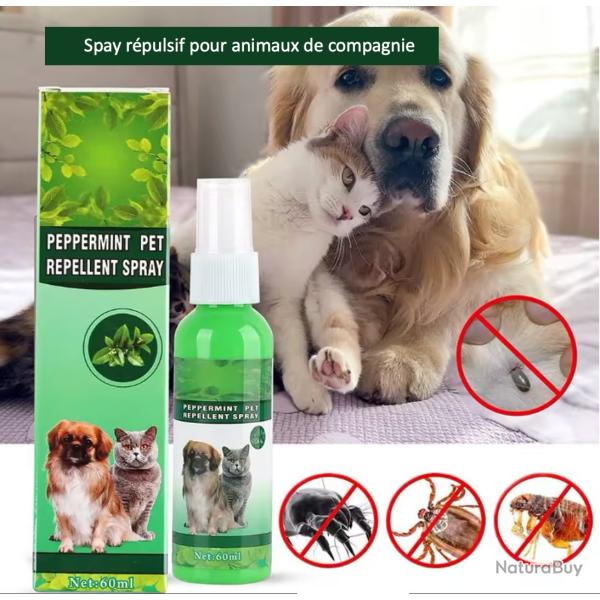 Spray anti-puces pour animaux de compagnie, anti-puces, anti-tiques, anti-acariens  chiens /chats