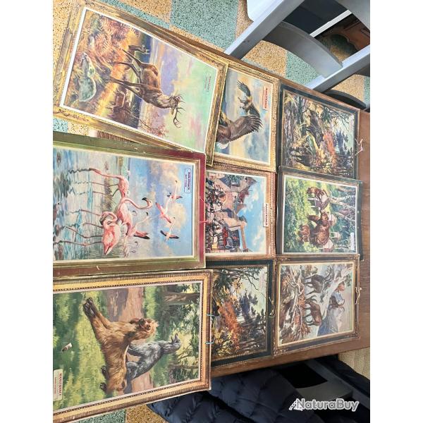 Lot de 9 ancienne affiche manufrance