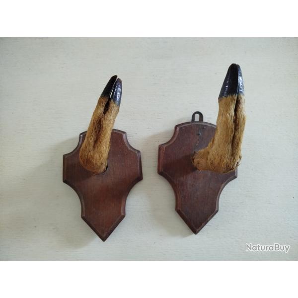 Porte fusil ancien pied de chevreuil