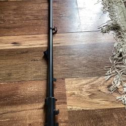 Canon BLASER K95 : 270 win 60cm avec organes de vis&eacute;e