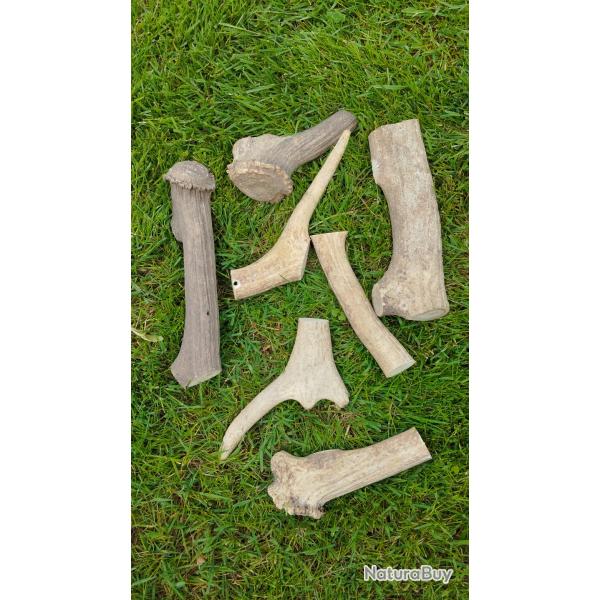 Gros morceau de bois de cerf pour chien � rogner . Un kilo 500 .