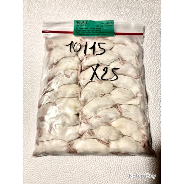 Souris 10/15g  X 25