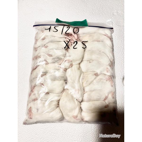 Souris 15/20g X 25