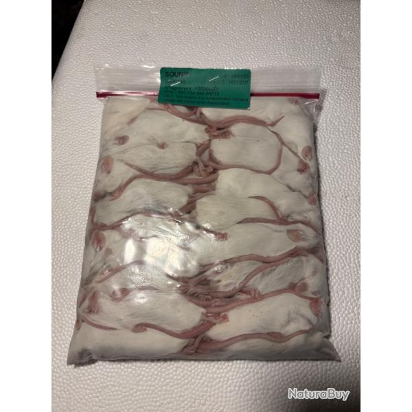 Souris 20/30g X 25