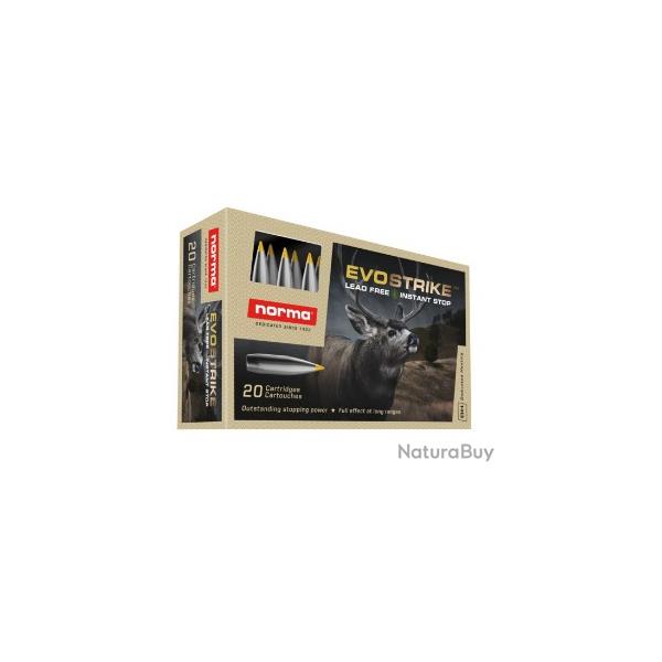Munitions NORMA cal.270 win evostrike 96gr 6.2g par 60