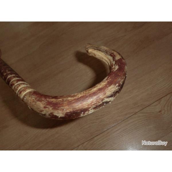 canne d�fense torsade nerf de boeuf