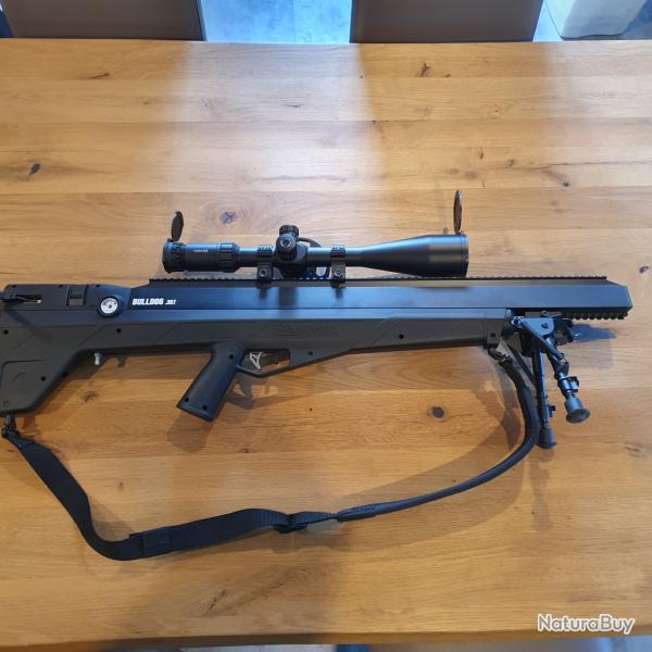 Benjamin Bulldog 357