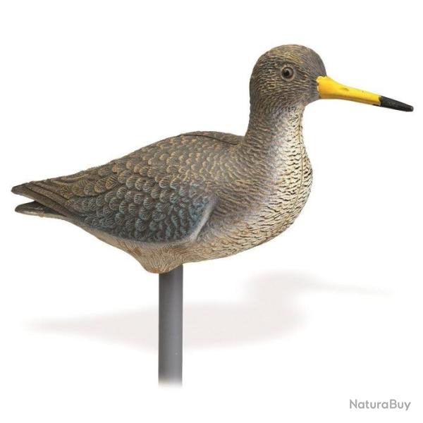 Appelant chevalier aboyeur Stepland - Par 1