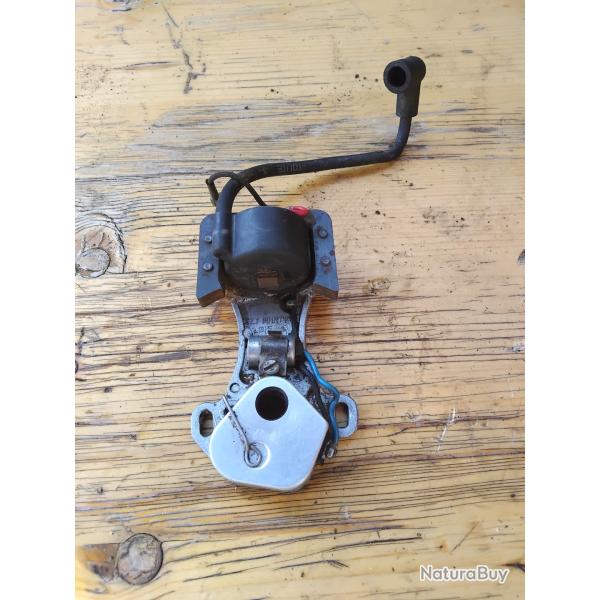 Allumage complet trononneuse homelite