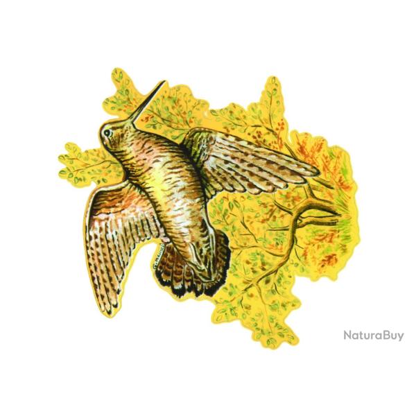 Autocollant couleur pour voiture 21x30cm Palombe