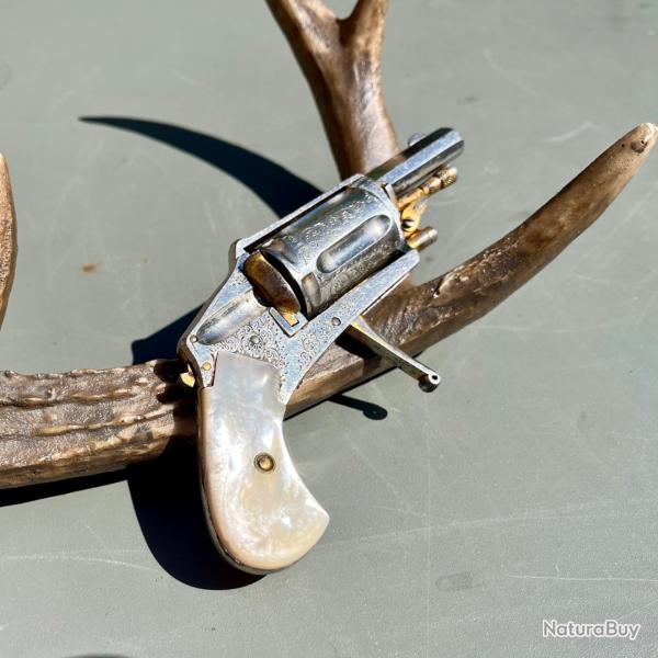 Revolver VELOGOG Hammerless Gris/dor Gravure 6mm