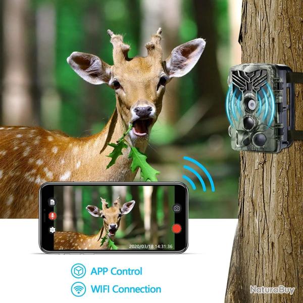 Camra de chasse et de sentier en direct WIFI830PRO 4K Vision nocturne 30mp LIVRAISON GRATUITE !