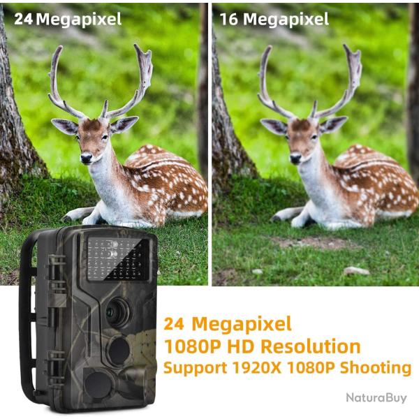 SUNTEK HC802A camra de sentier de la faune 24MP 1080P LIVRAISON GRATUITE !