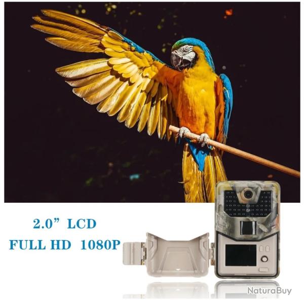 Suntekcam HC-900A camra de chasse 36MP 2.7K LIVRAISON GRATUITE !