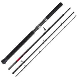 Canne Spinning Shimano STC XR Monster 3m 5 65cm 28 - 110g