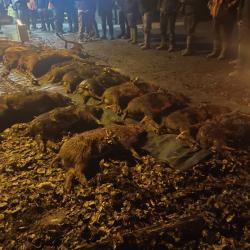 Action traque-aff&ucirc;t en for&ecirc;t d'Orient (10)